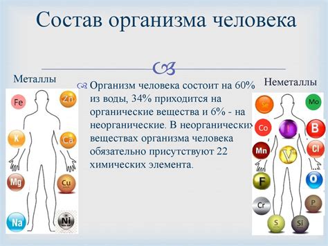 Роль легких металлов в организме человека