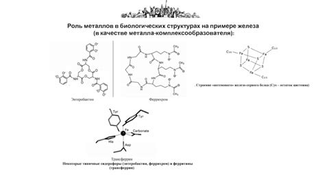 Роль металлов в медицине и фармакологии