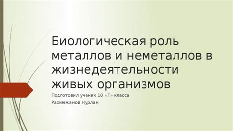 Роль металлов и неметаллов в инновационных технологиях