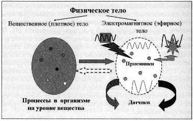 Роль наночастиц металлов в экологии и энергетике