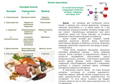 Роль пищевых продуктов в привкусе металла