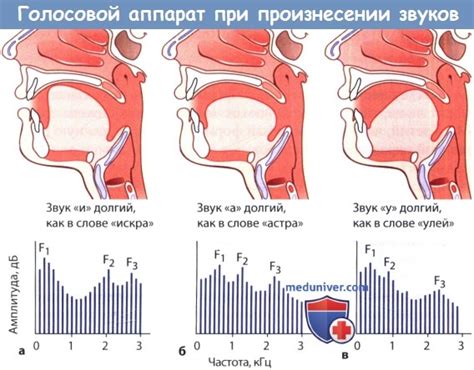 Роль смазки в уменьшении нежелательных звуков при трении