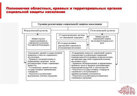 Роль социальной защиты чердаклов в повышении безопасности