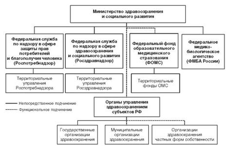 Роль телефона райздрава в организации работы медицинских учреждений