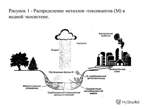 Роль тяжелых металлов в экосистеме малых рек