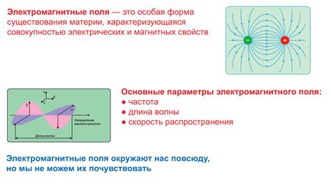 Роль электромагнитных поля