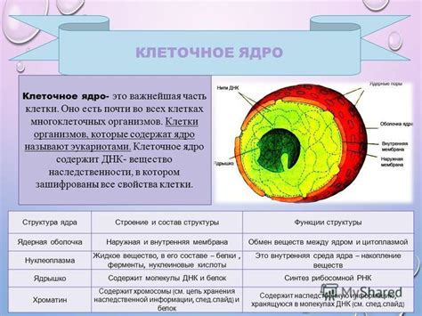 Роль ядра в металлах