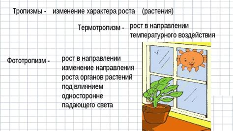 Рост растений под влиянием погоды