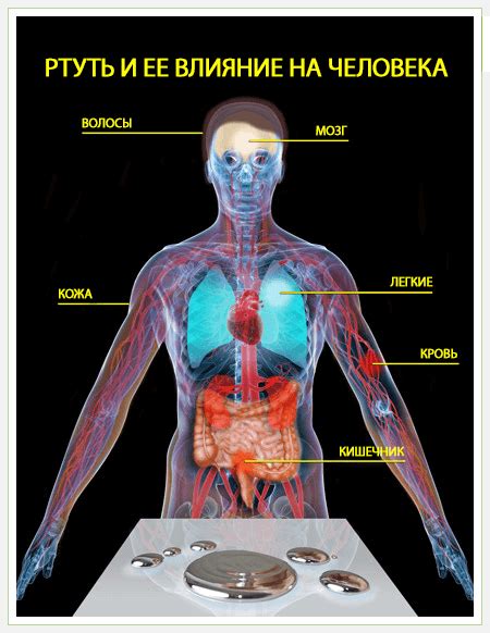 Ртуть и ее опасность для здоровья