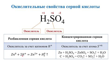 Свойства нитрата металла серной кислоты