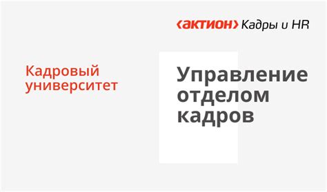 Свяжитесь с отделом кадров ООО Камелот