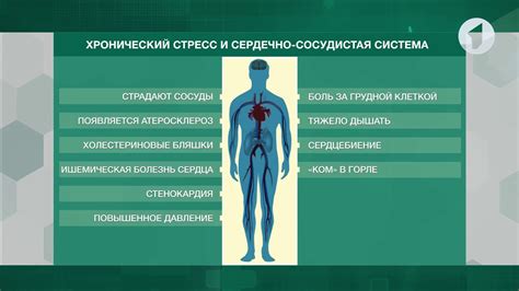 Связь цинка с нервной системой