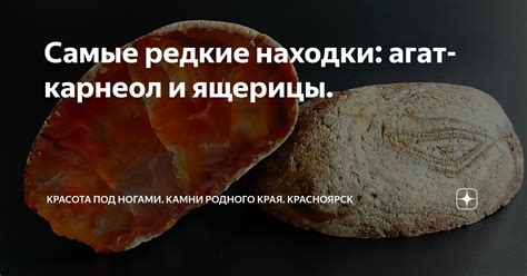 Секреты и редкие находки