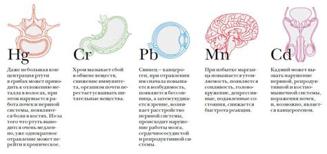 Симптомы отравления примесями солей тяжелых металлов