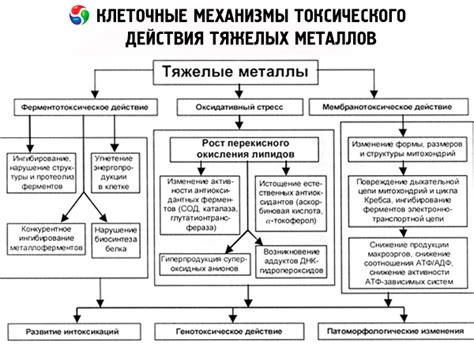 Симптомы отравления тяжелыми металлами