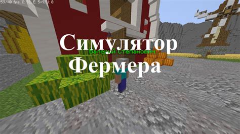 Симулятор фермера на сервере Minecraft: как стать лучшим