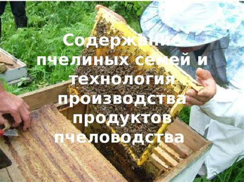 Собирание и использование пчелиных продуктов