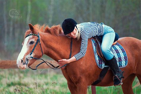 Советы для улучшения катания на лошади