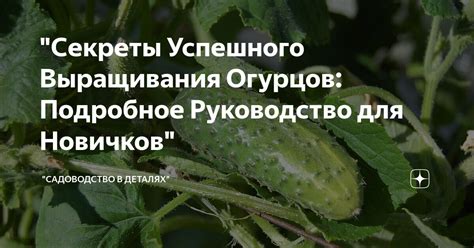 Советы для успешного выращивания хоруса