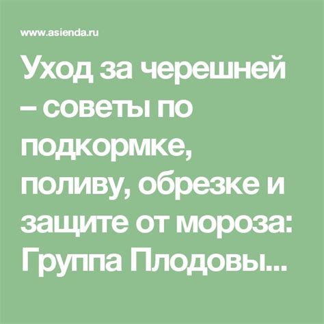 Советы и рекомендации по защите арматуры от мороза