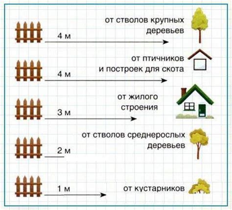 Советы по выбору расстояния при посадке деревьев в Майнкрафте