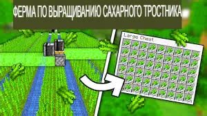 Советы по выращиванию тростника в Minecraft