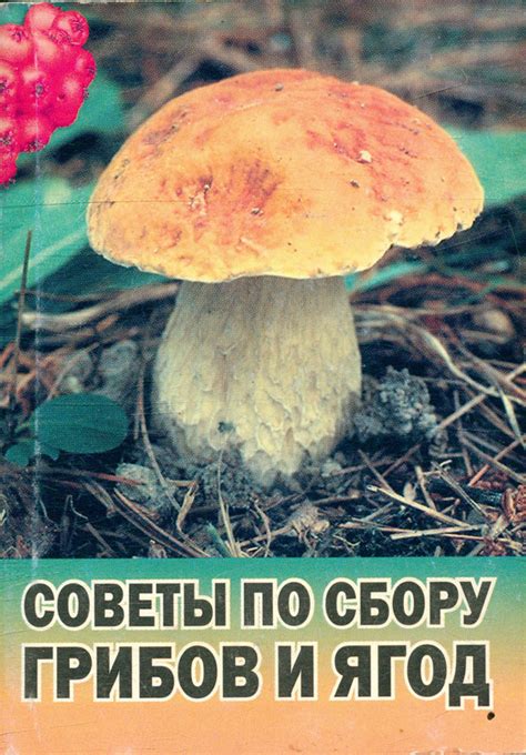 Советы по сбору