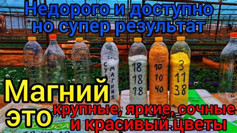 Сода – доступное и недорогое решение