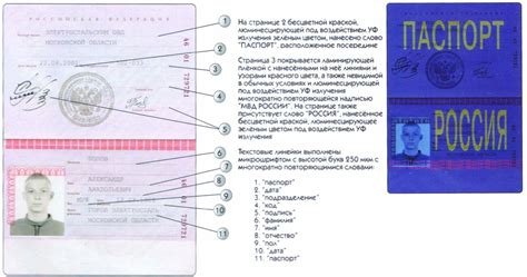 Содержимое паспорта