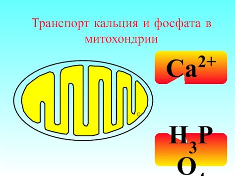 Соединение фосфата кальция с молекулой H3PO4