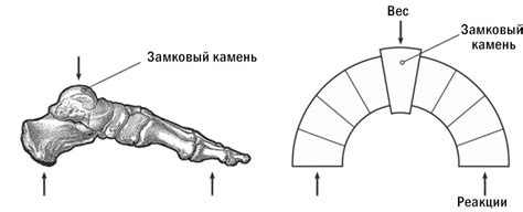 Создание арочной структуры