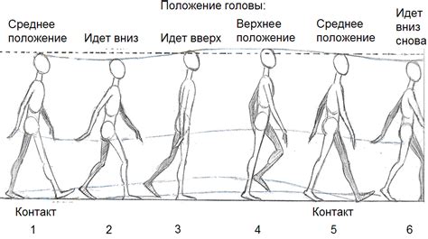 Создание и добавление новых движений в анимацию ходьбы