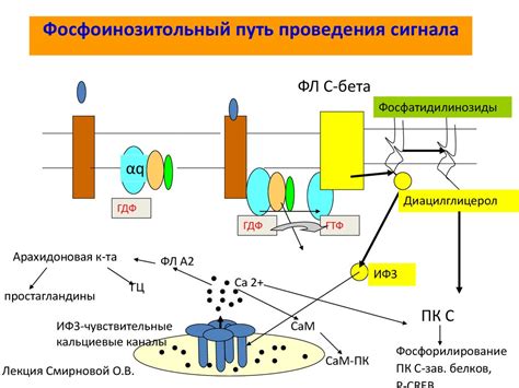 Создание и установка плиты для передачи сигнала