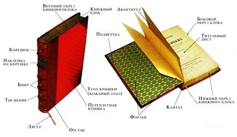 Создание книги со стилизованным текстом