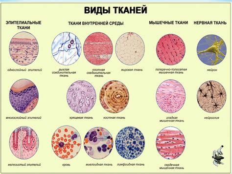 Создание кольчужной ткани и основы