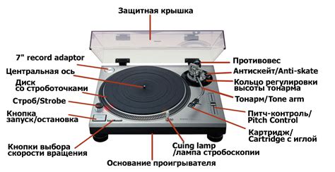 Создание основы для проигрывателя