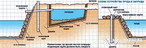 Создание рыбьего пруда