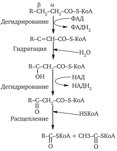 Создание эффекта окисления и коррозии