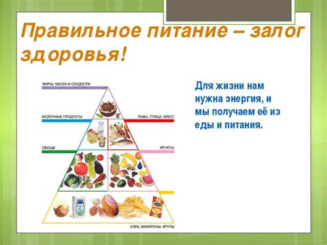 Соотношение принимаемых продуктов