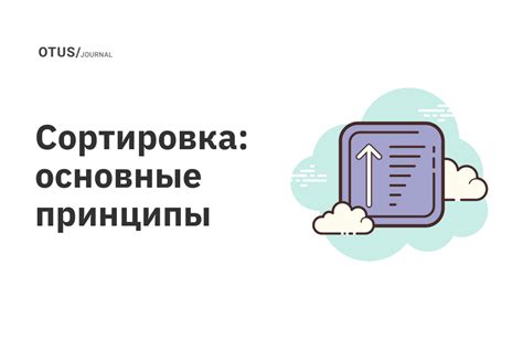 Сортировка вещей: основные принципы и правила