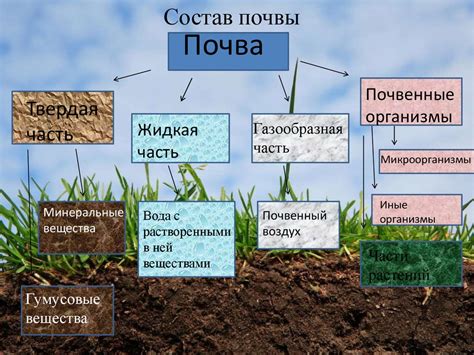 Состав и особенности структуры окалины