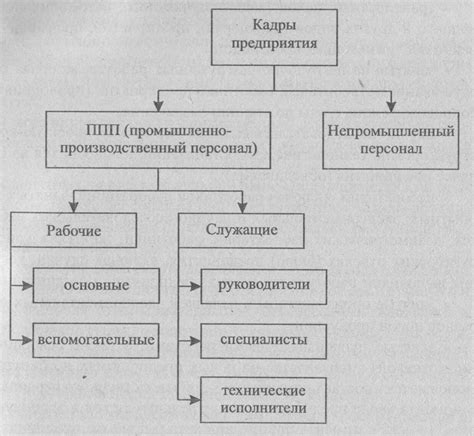 Состав сотрудников отдела кадров печатни колпино