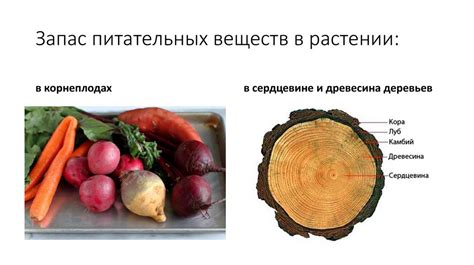 Сохранение естественного вкуса и питательных веществ