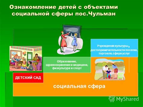 Социальная сфера: образование и медицина