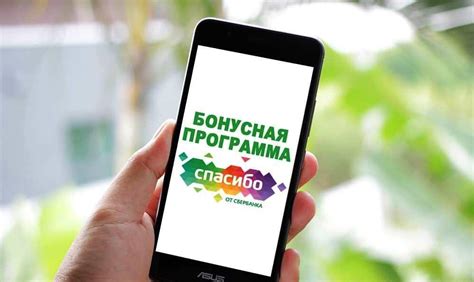 Спасибо Сбербанк: как получить информацию