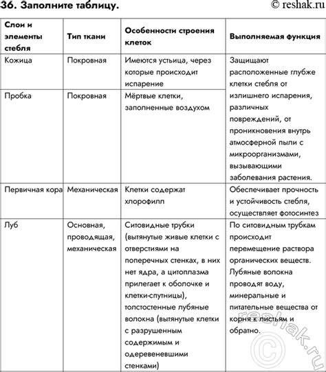 Специальные функции и особенности