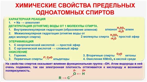 Спирты: сущность и свойства