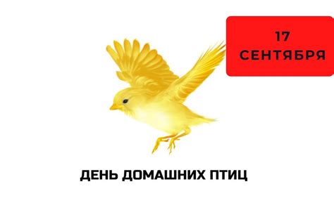 Способы отмечания дня домашних птиц