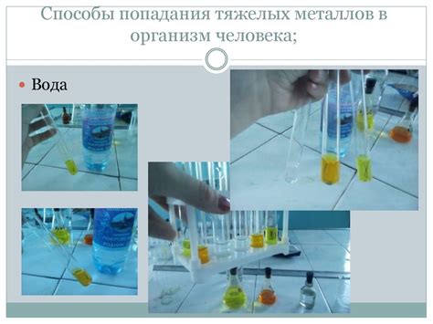 Способы попадания тяжелых металлов в воду