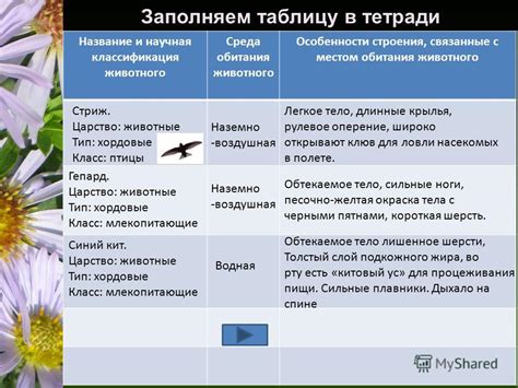 Среда: особенности и классификация